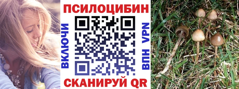 Галлюциногенные грибы ЛСД  Заинск 